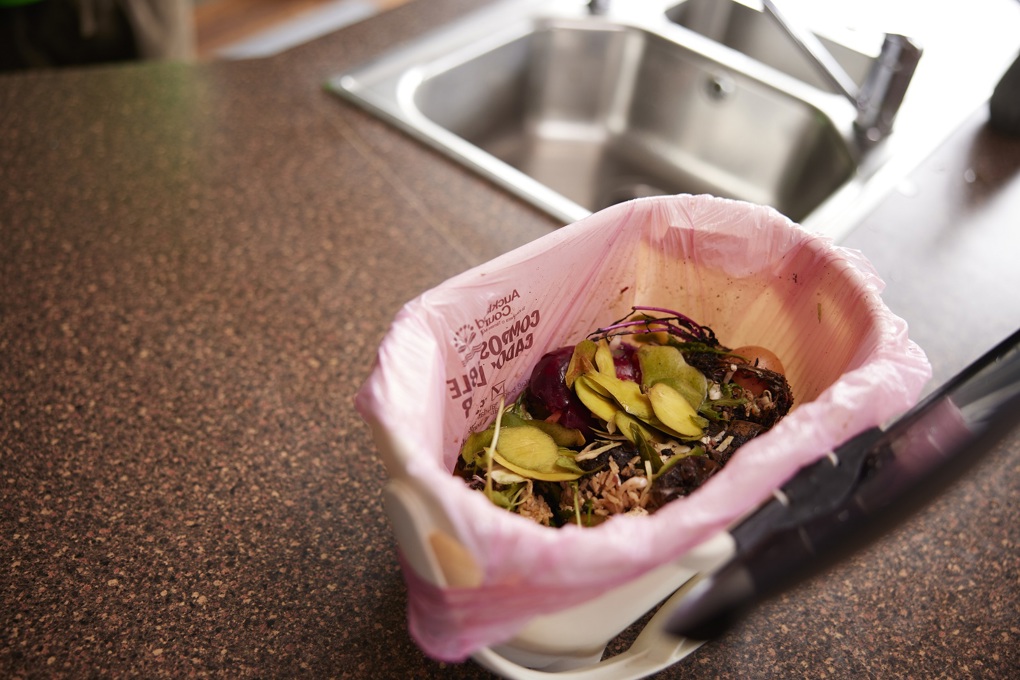AC Food Scraps Fairy SHOT 3 1686