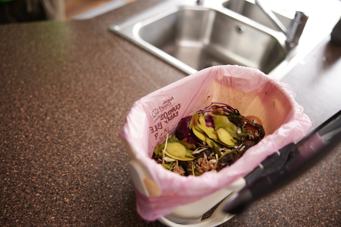 AC Food Scraps Fairy SHOT 3 1686