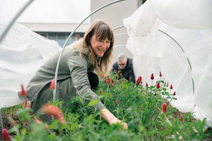 Community Gardens Image 1