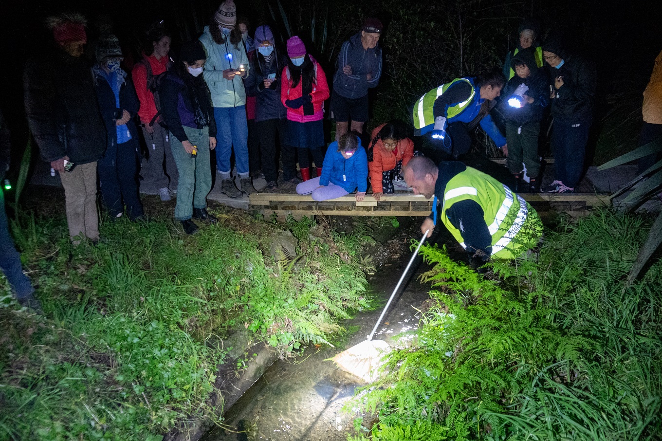 Participants exploring local creeks by spotlight. Courtesy EMR.