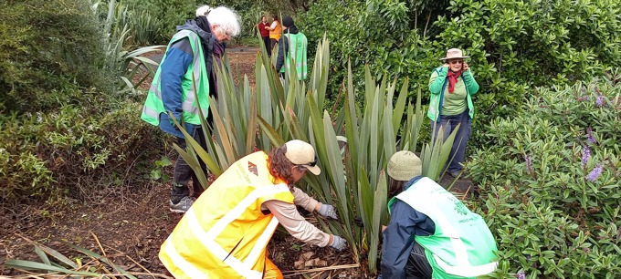 Annual Community Day At Auckland Botanic Gardens Harakeke Garden 2025