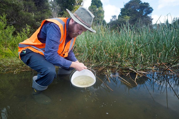 From the Ranges to the Sea –profiles of people working for council and Watercare