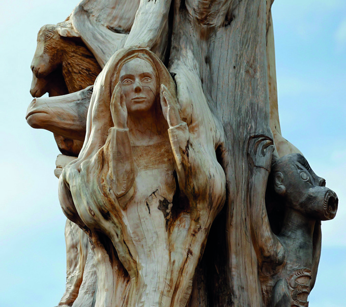 Blaze a trail at Sanders Reserve