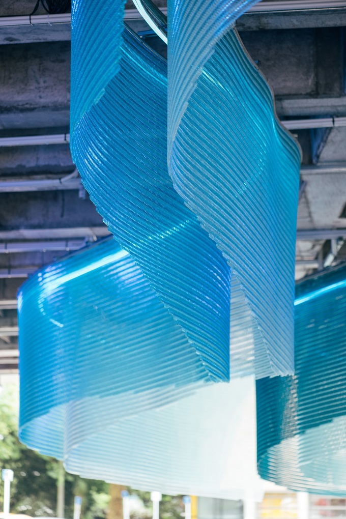 Myers Park Waimahara Daylight Photo David St George Resize