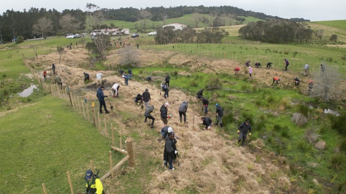 Planting Day In Warkworth