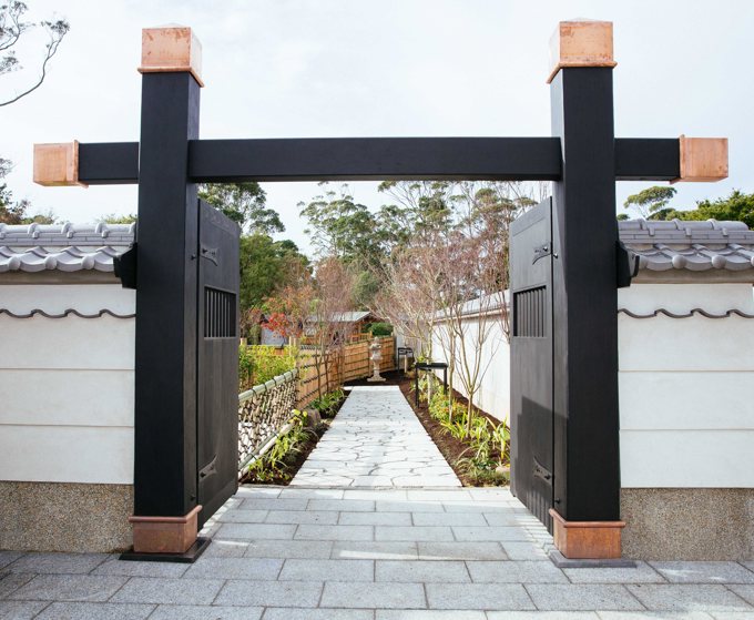 Oasis in Central Auckland blooms again (3)