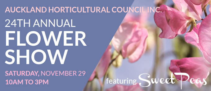 AFS 2025 _i43kokys.png