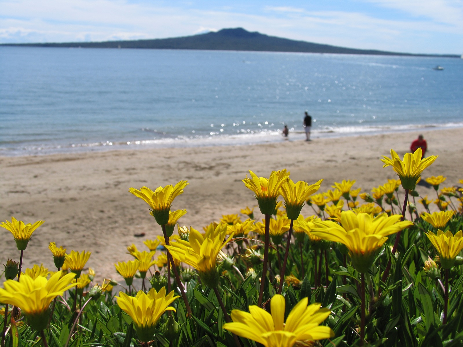 Cheltenham Beach, Devonport