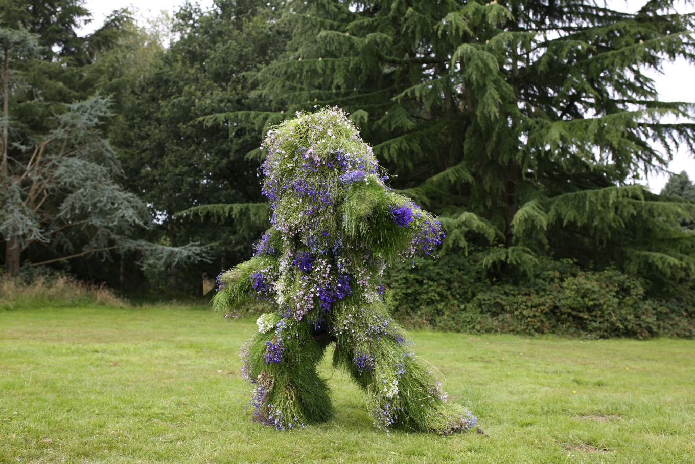 Auckland Botanic Gardens unearths Tangled Roots exhibition