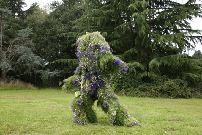 Grass Man Image 2