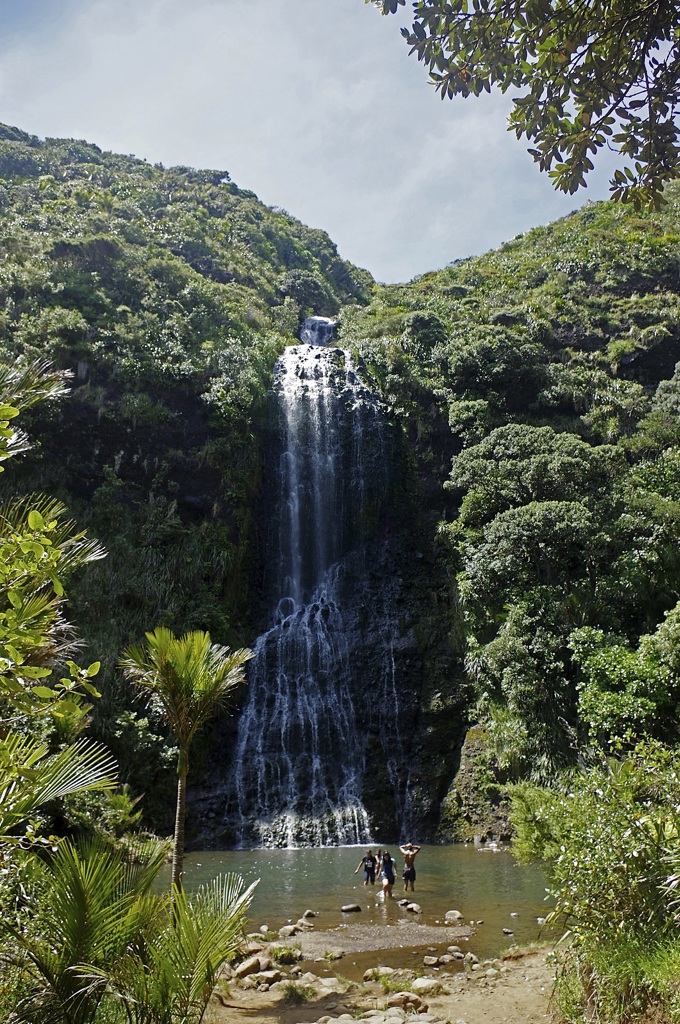 Great walks around Auckland (1)