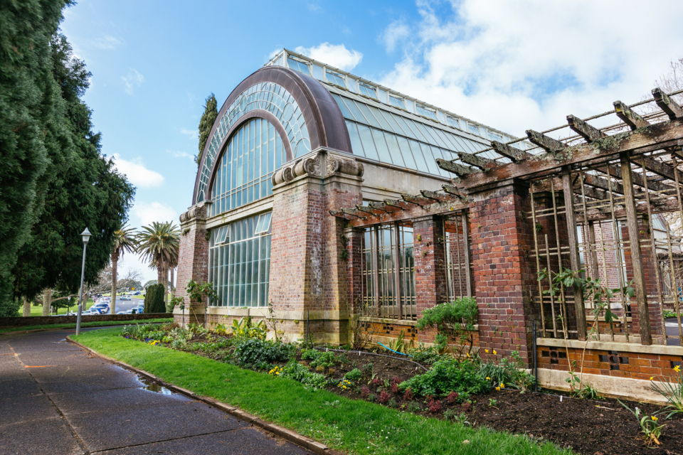 Gardening tips from Auckland’s Wintergardens team OurAuckland