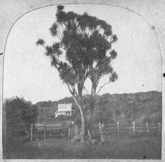 New look Teed St open for business (2)