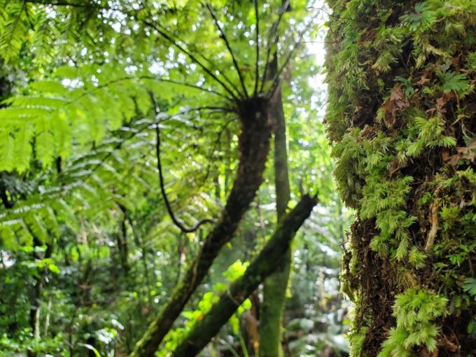 Eskdale Regeneration Champions_axnfcwdt.png