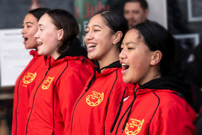 Waiata Maumahara 0 420 0 280 Crop