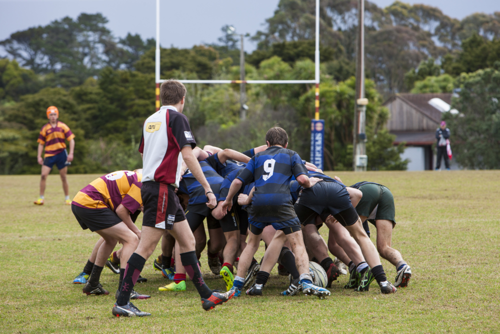 Help shape the future of Birkenhead War Memorial Park OurAuckland
