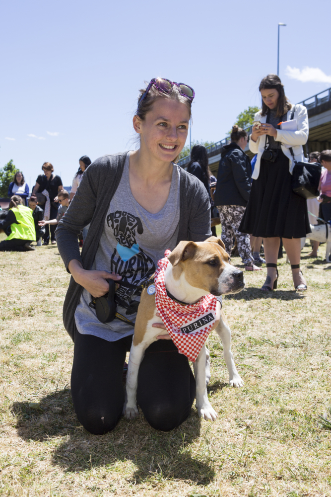 It's great to be a dog in an Auckland summer OurAuckland
