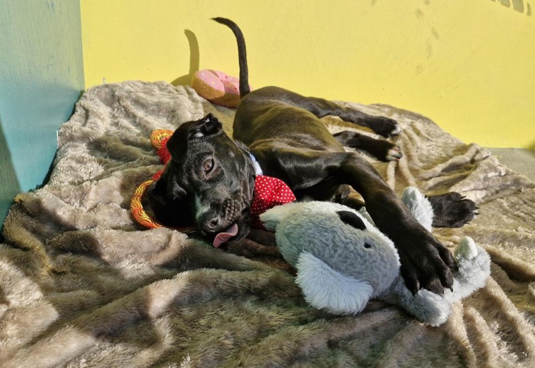 Media 2026 07 18T123802.887