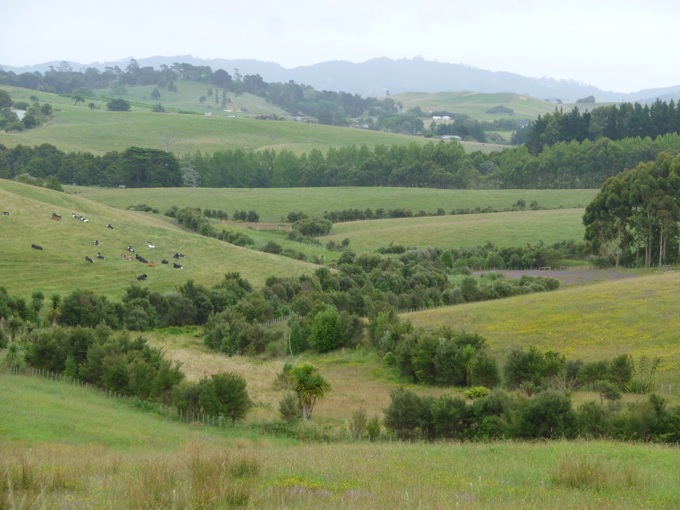 Auckland Region Ballance Farm Awards