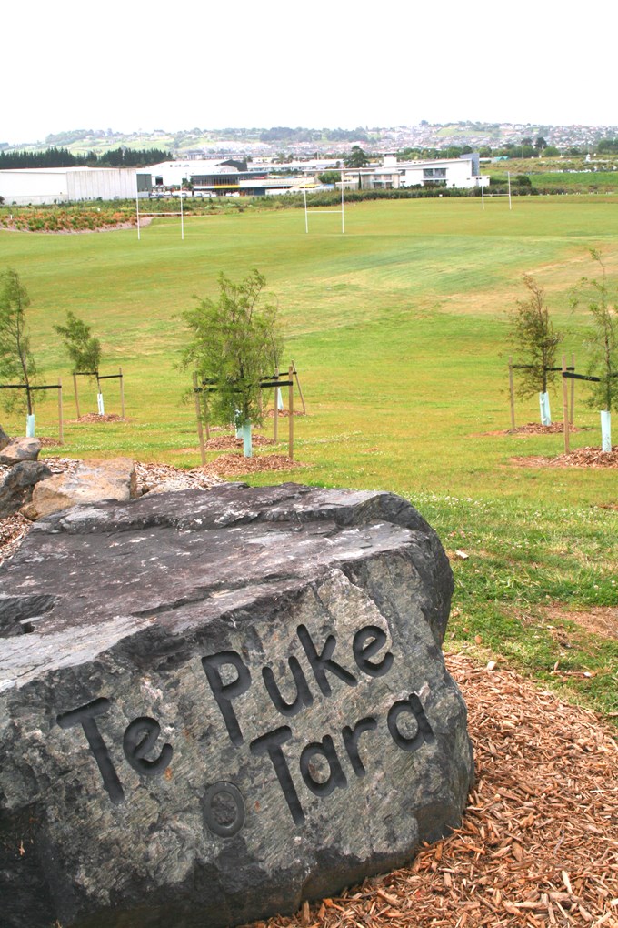 Te Puke O Tara sports park now open - 1