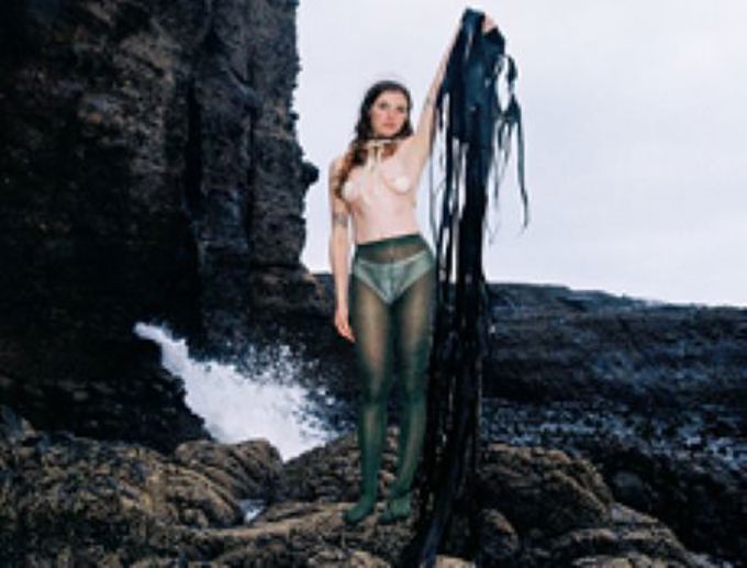 Screenshot 2026-01-31 134529_ux3ddvtg.jpg