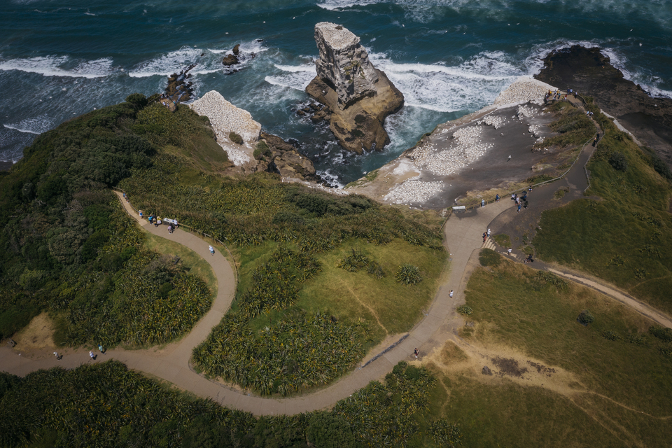 Auckland regional parks - track updates