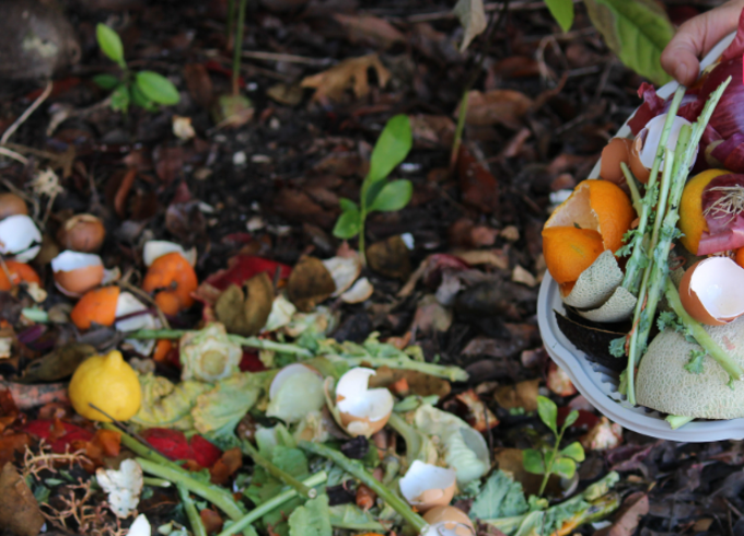 Screenshot 2026-04-15 155405_qd03logm.png