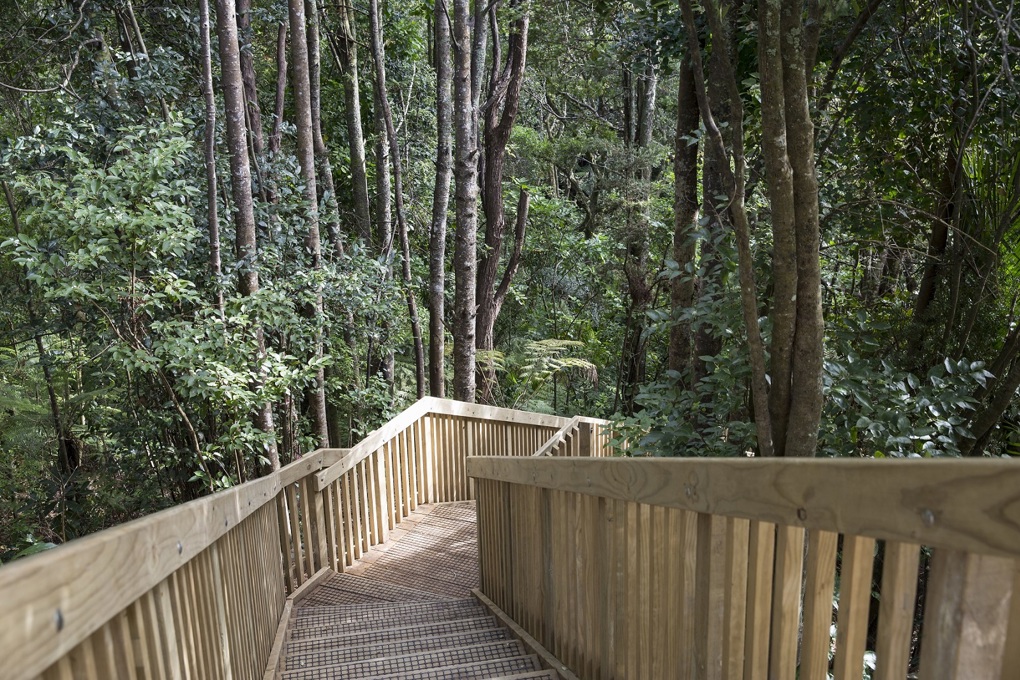 A piece of ecological paradise restored