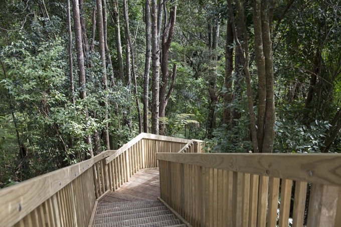 A piece of ecological paradise restored