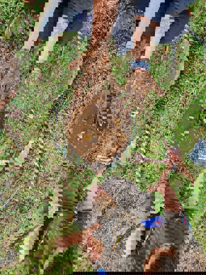 WhatsApp Image 2025-02-03 at 00.30.11_c26619c1_uv4x5xqe.jpg