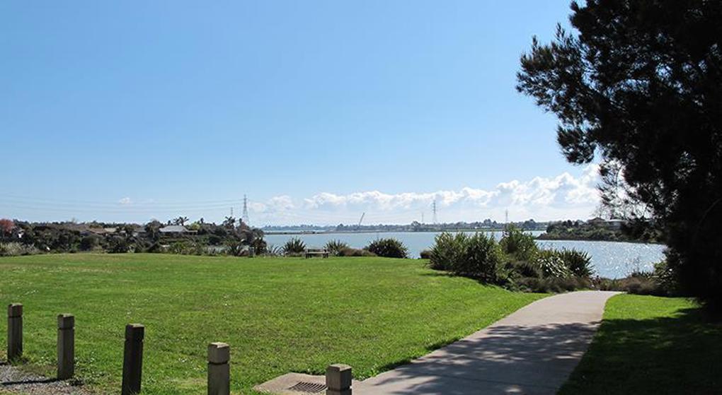 Pahurehure path