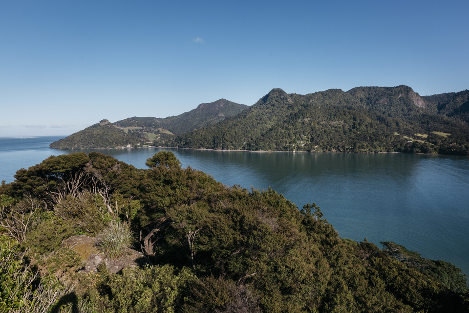 Forest and lake area.