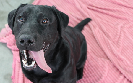 Batman (ON HOLD) tile image