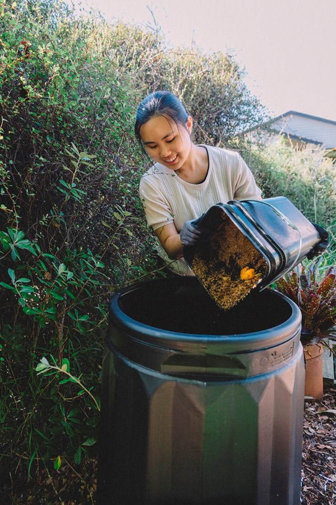 Learn how to compost at a free workshop