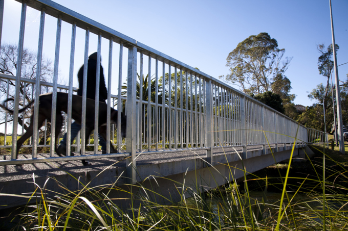 Western Springs a pocket of calm for city-dwellers