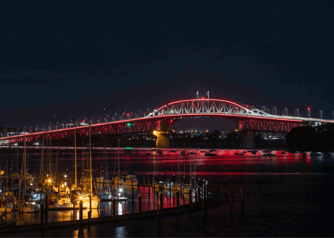 Vector Lights for Poppy Day 2026_OA_ozag3qcu.png