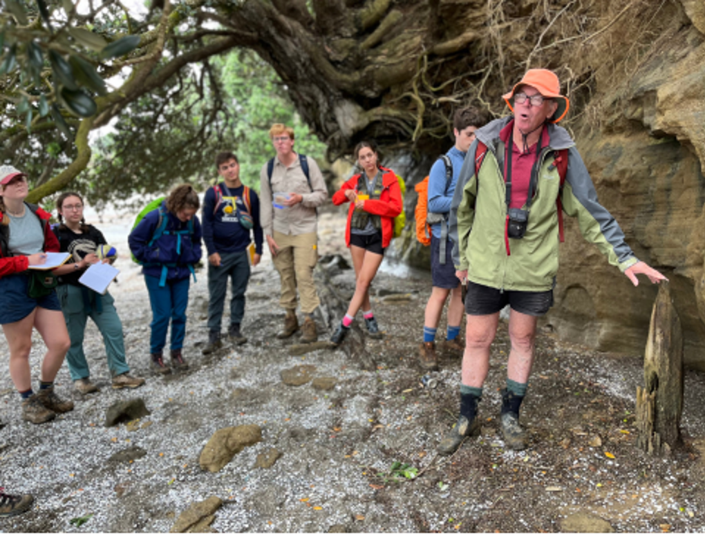 Response 14 Auckland Geoheritage Guided Walk Ihumatao