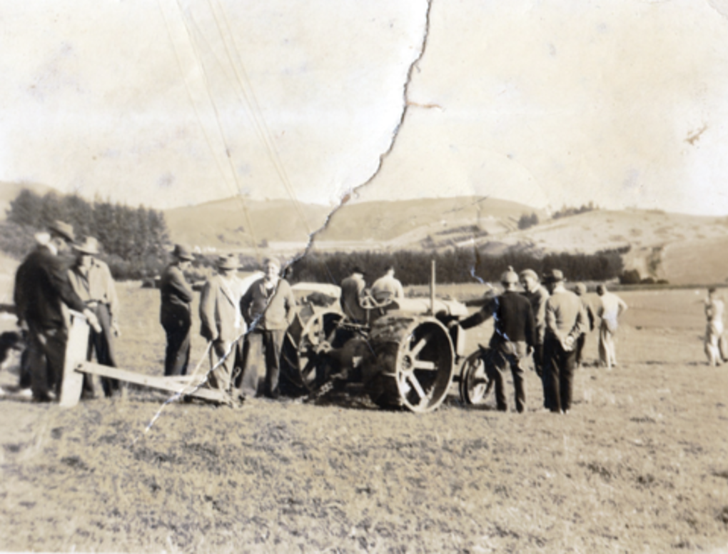 Response 139 Food Stories From Waiheke Island