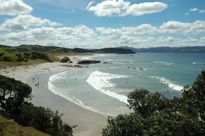 Get together on these north Auckland walks