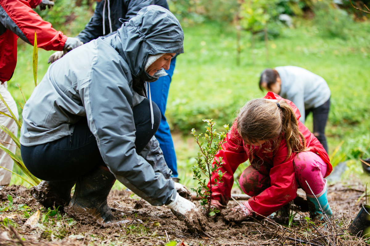 Rodney community planting days coming soon - OurAuckland