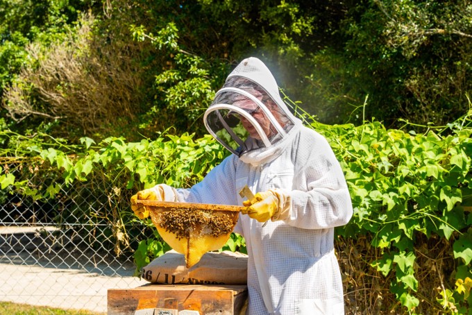 Kings Birthday Image 8