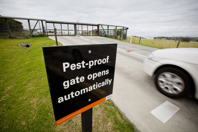 Have your say on how we manage Auckland's regional parks (2)