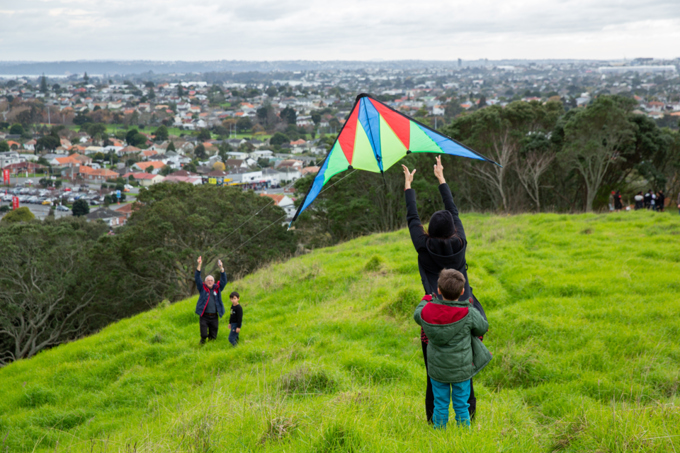 Puketapapa work programme