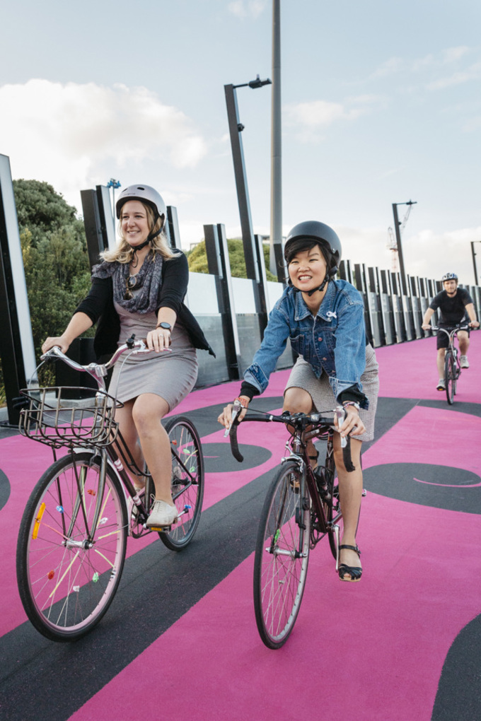 Te Ara I Whiti, The Lightpath