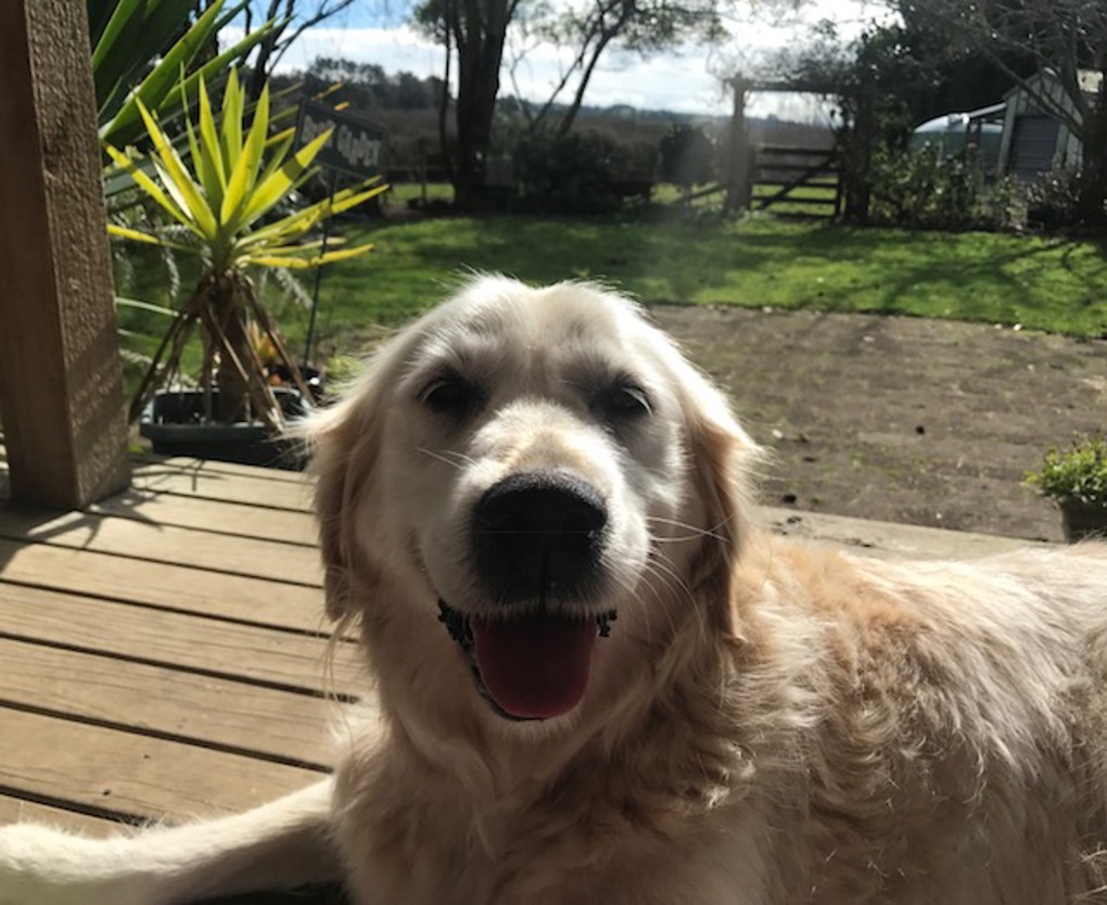 Ruby at home