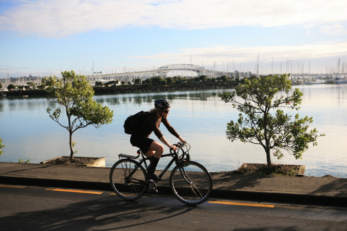 A timeline of the Auckland Unitary Plan 2