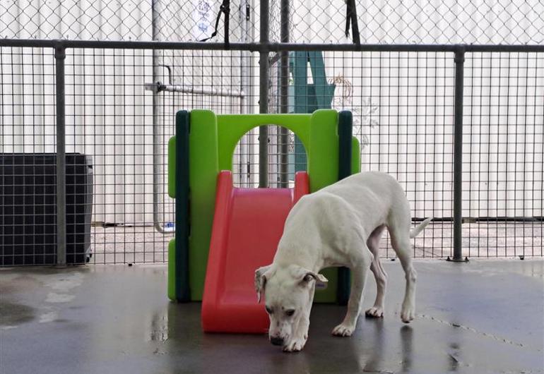 B38839f0 C58e 4D8c 8C57 292660D41e71