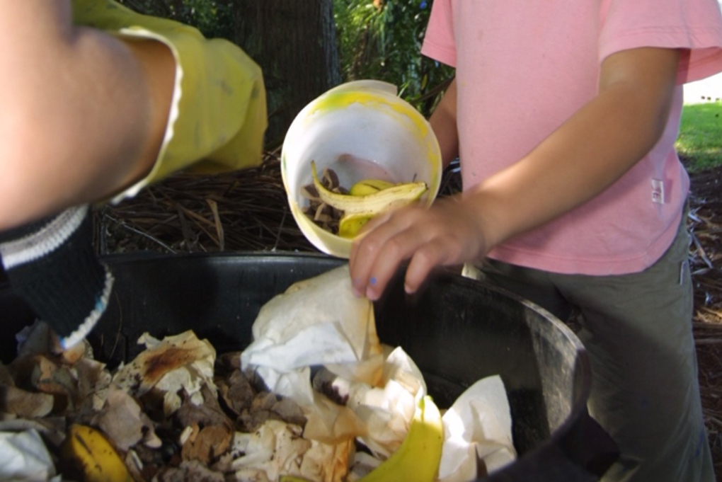 Eight surprising things you can compost (1)
