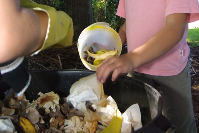 Eight surprising things you can compost (1)