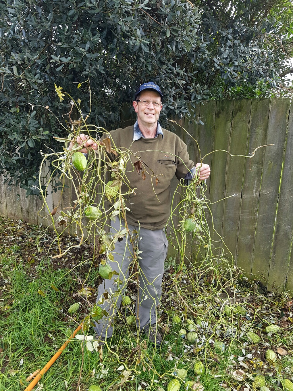War on Weeds in Howick